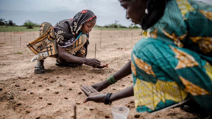 SIFA : expertise en gestion des subventions et suivi-évaluation pour le développement des compétences en Afrique
